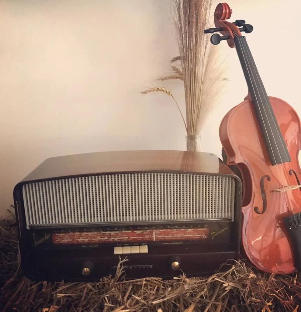 Location d'instruments de musique pour vos décorations en Normandie