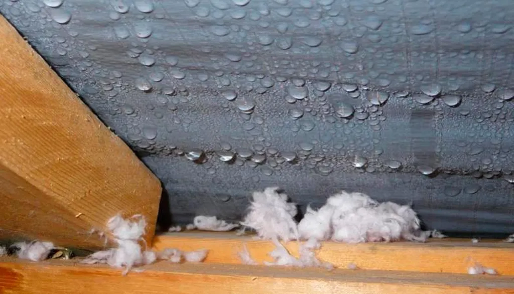 Pourquoi y a-t-il de la condensation sous ma toiture ? Causes, solutions et traitements à Amiens