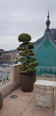 Poterie sur balcon et toiture à Monaco