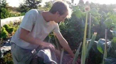 Légumes Bio grâce au maraichage en permaculture Saint Jean d'Ardières Le Jardin qui Chante