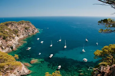  Pourquoi choisir une balade en mer l'Eden Boat ? 