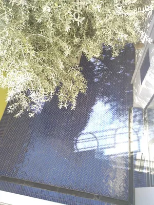 Architecte Paysagiste : création cuisine d'été piscine terrasse à Marseille avec patio