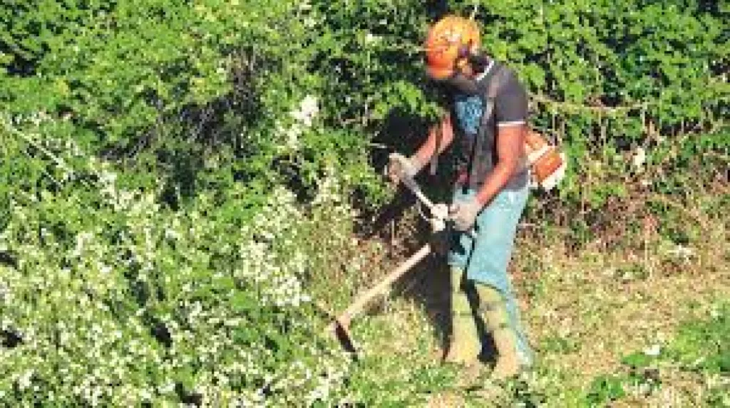 Debroussaillement contre l'incendie pays d'Aix