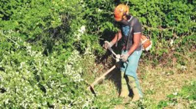 Debroussaillement contre l'incendie pays d'Aix