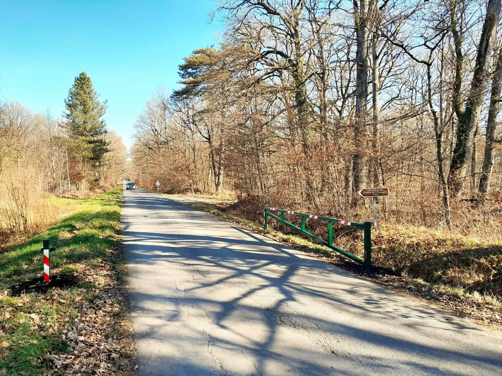 barriere DFCI ORLEANS DISPONIBLE