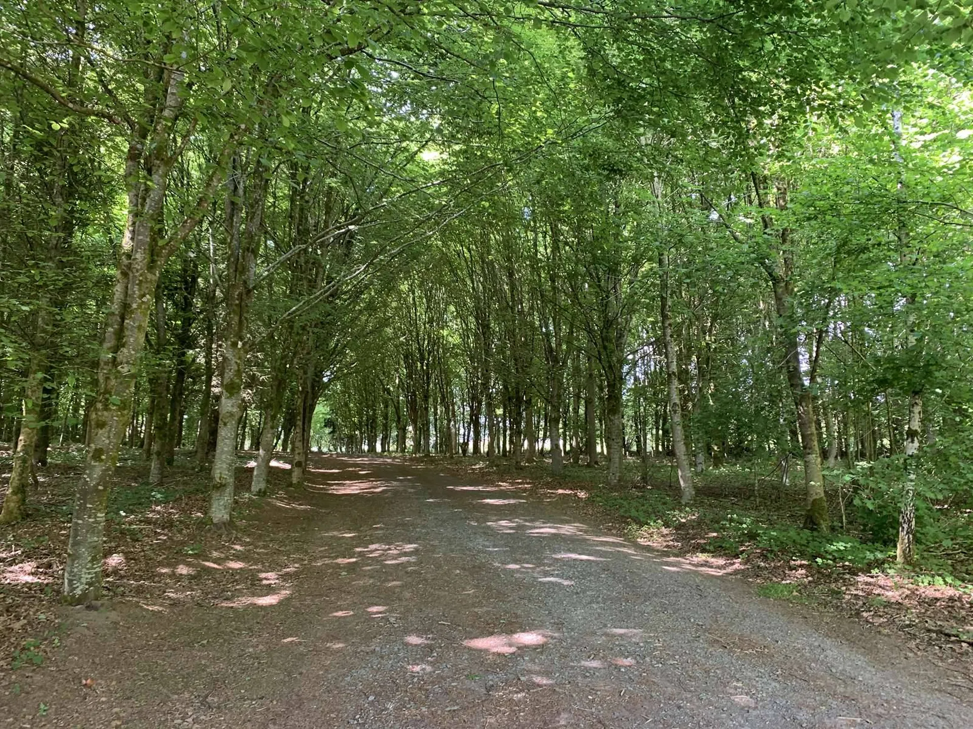 CALVADOS Région de VIRE (14500) propriété forestière de 18 ha 50 a avec des étangs