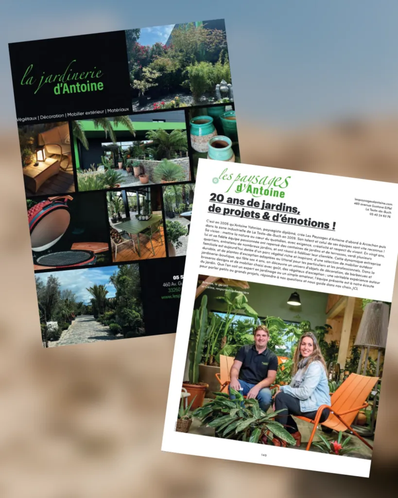 Les Paysages d’Antoine dans la 19ème édition de Vivre le Bassin