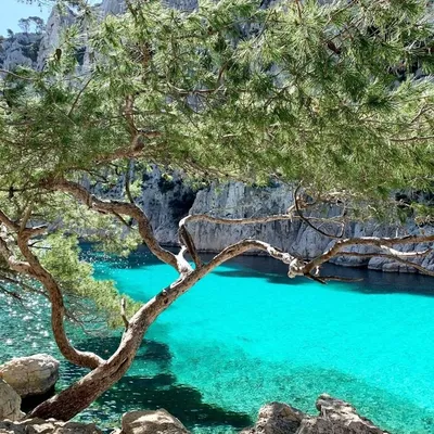 Explore the pristine beauty of Calanque de Port-Pin on a boat tour with L'Eden Boat. An unforgettable adventure awaits you!