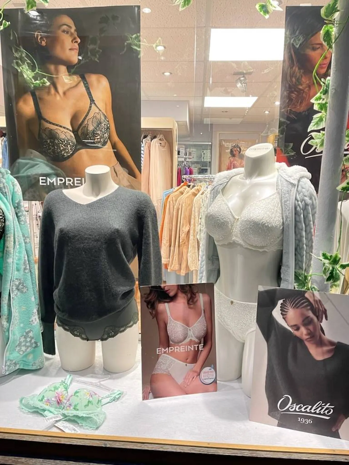Visite, Lingerie dans un centre-ville animé,  dans la région de Pont-Audemer 27500