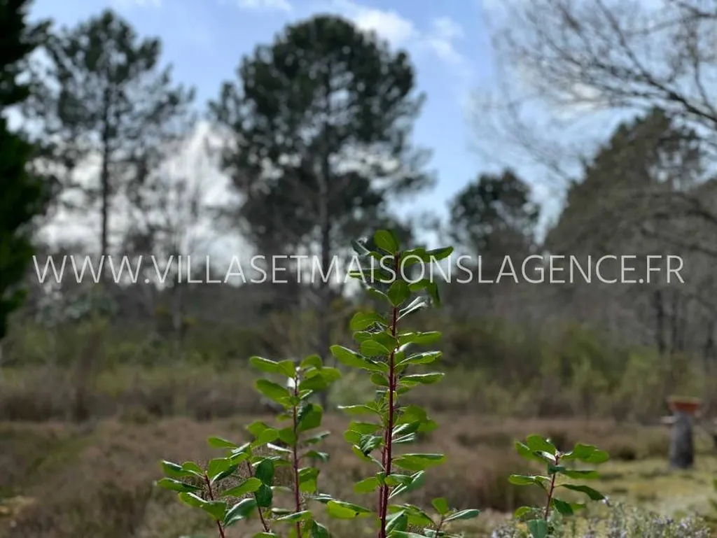 exclusivite! terrain non viabilisé de 800m² environ libre de constructeur ares · à Arès · 388 500 €