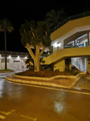 Sujet planté à Monaco