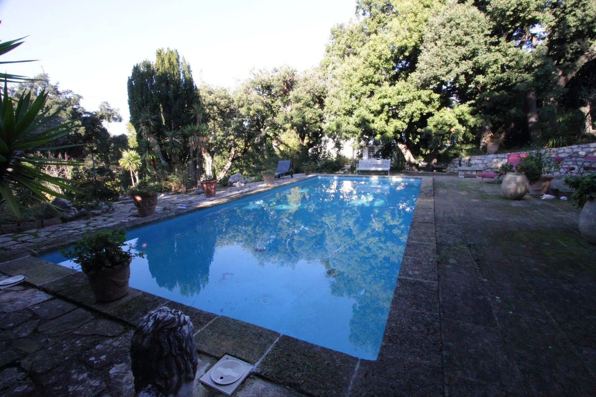 Piscine sous les arbres parfait pour les chaleurs d'été - propriété à vendre à Cassis