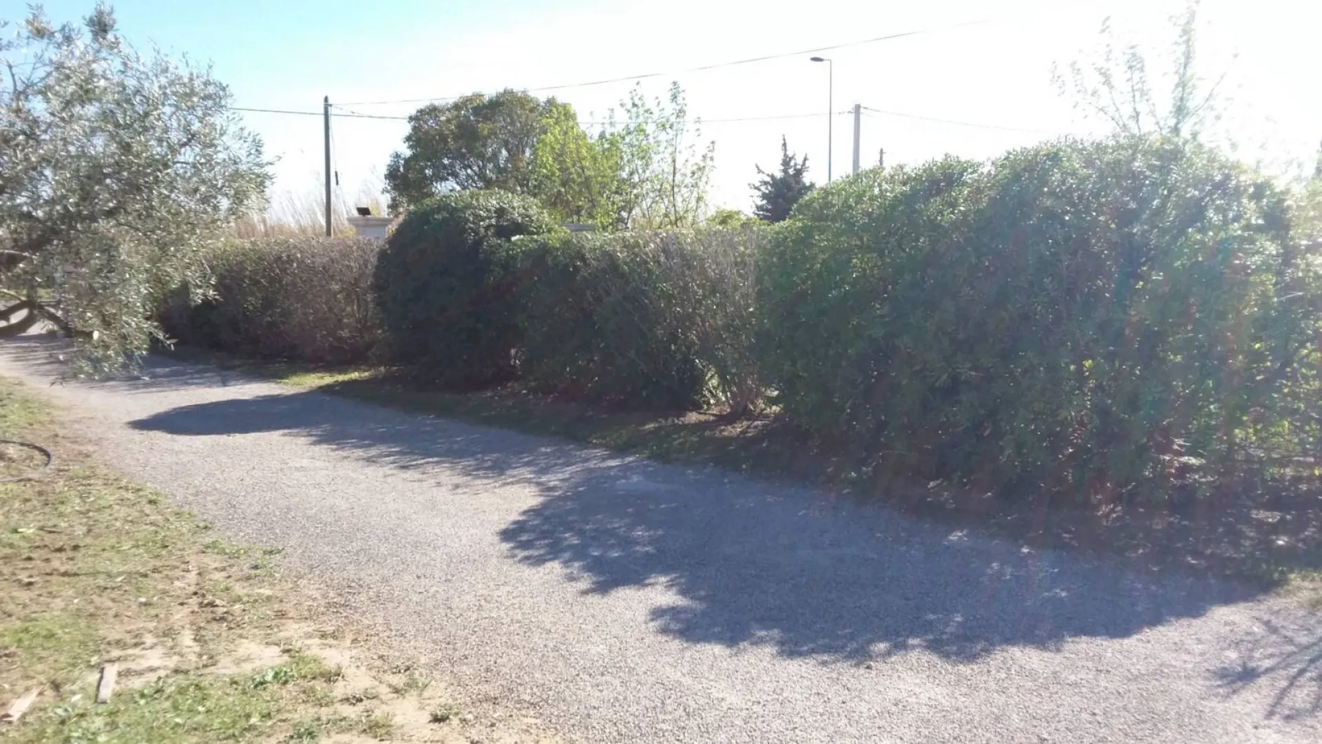 taille de haies à Velaux 13880