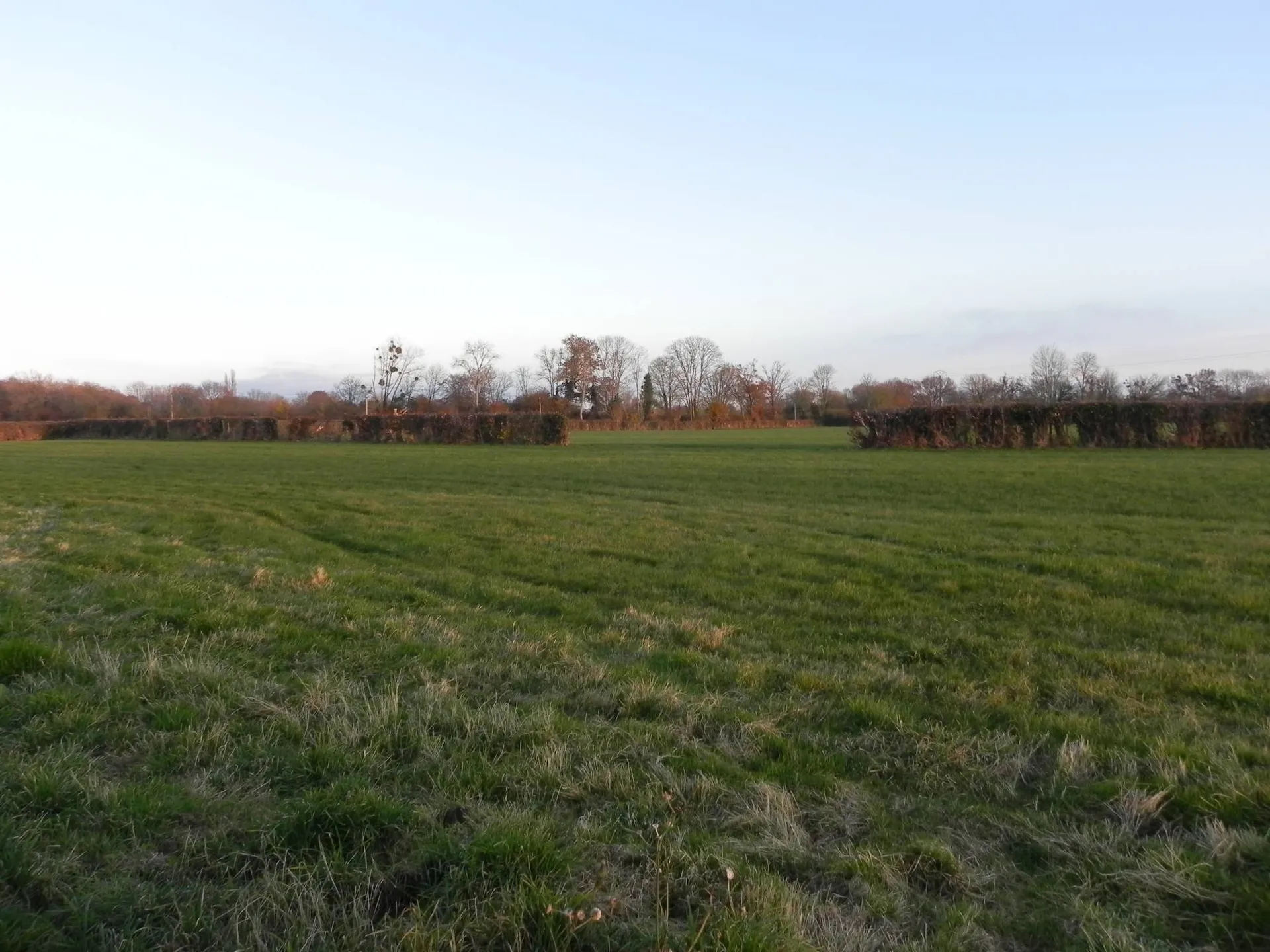CALVADOS (14) - SUD PAYS D'AUGE - Région LIVAROT : Propriété avec 19 ha de terrain agricole