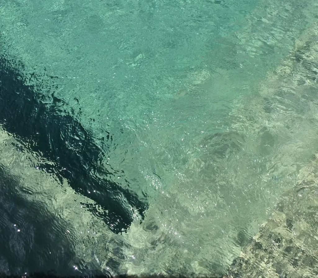 Piscine coque polyester Vert Bali avec margelles en pierre et jardin paysagé, couleur gris-vert tendance et naturelle.