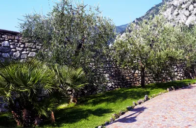 Aménagement d'un jardin sec avec des végétaux méditérranéens