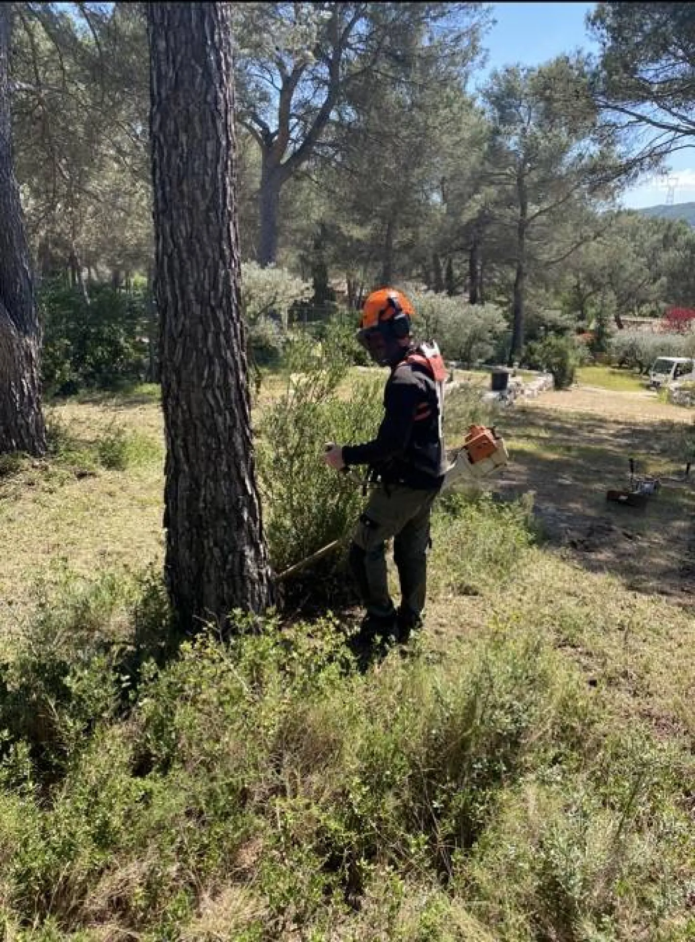Débroussaillage obligatoire à Ventabren dans les Bouches du Rhone