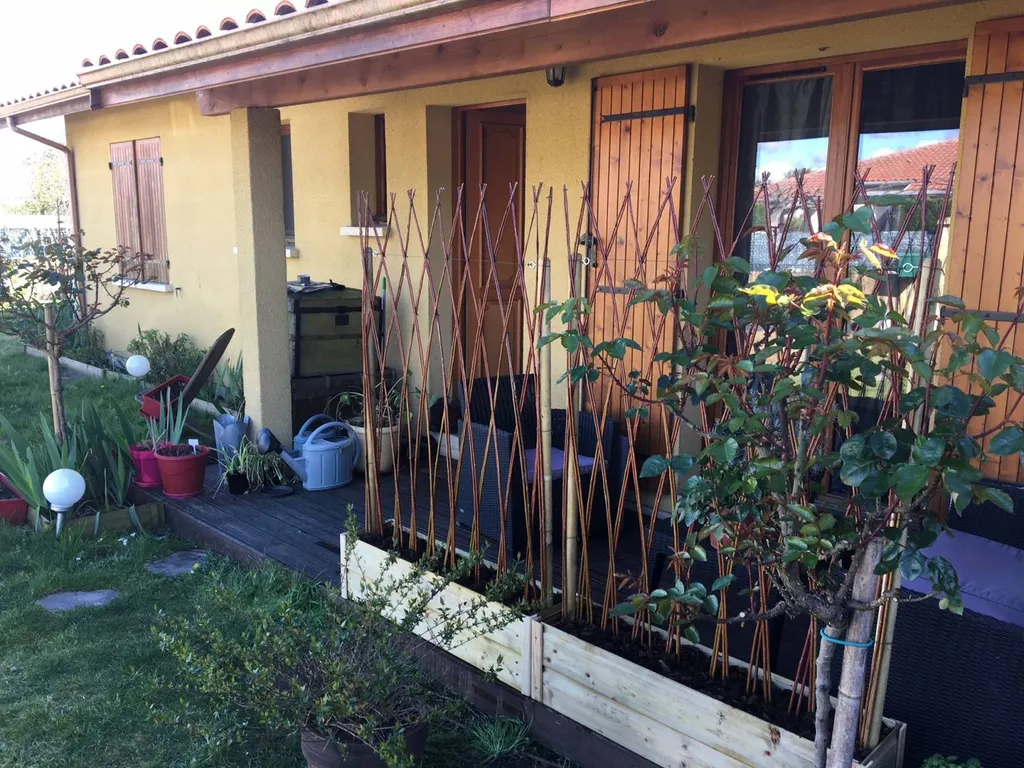 Création de brise vue en osier vivant à Biscarrosse