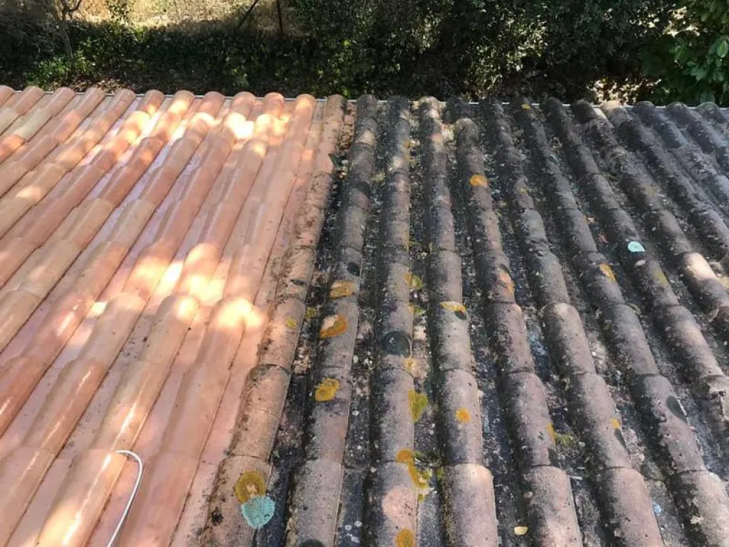 Appliquer un traitement anti-mousse après un nettoyage complet de toiture à Pessac