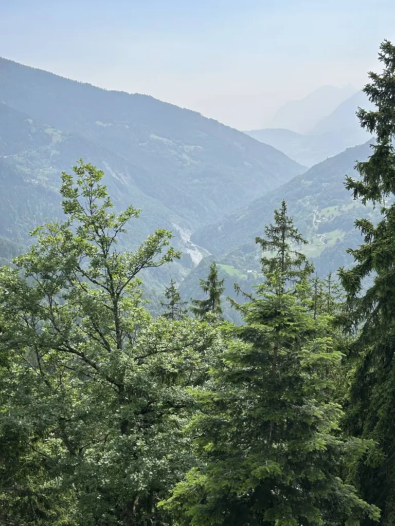 À vendre T2 cabine à Crest-Voland. Résidence Canopée, 350 m des pistes, vue Mont-Blanc.