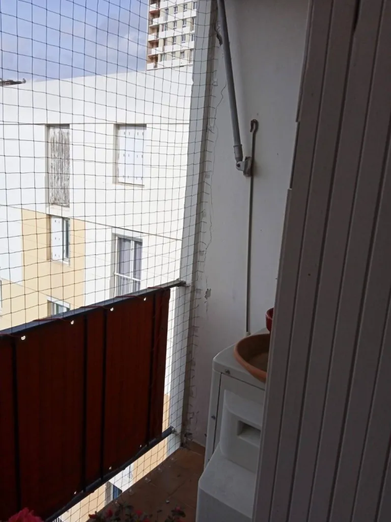 filet ant pigeon istres