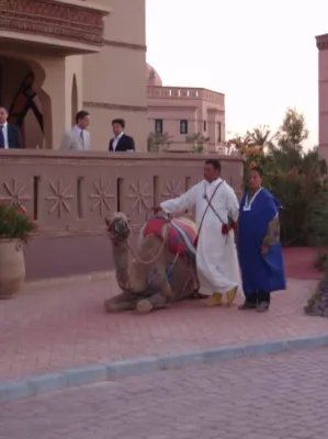 organiser son mariage à Marrakech