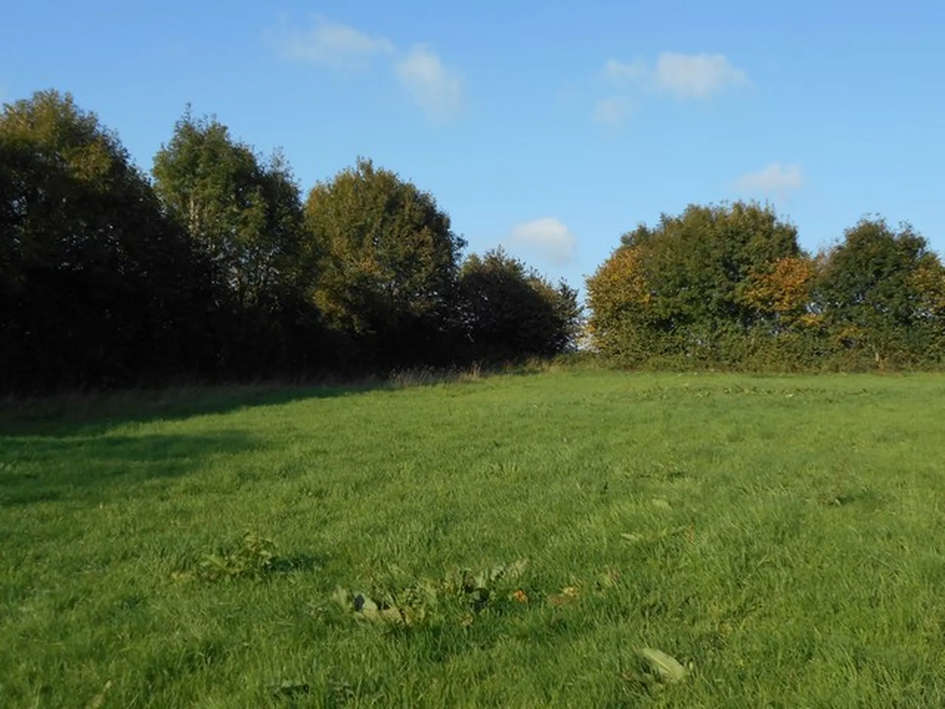 MAISON NORMANDE GACE, Orne 61