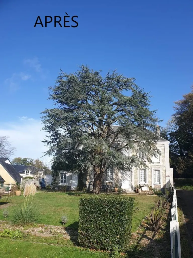 Élagage en taille douce aux alentours de Gonneville la Mallet