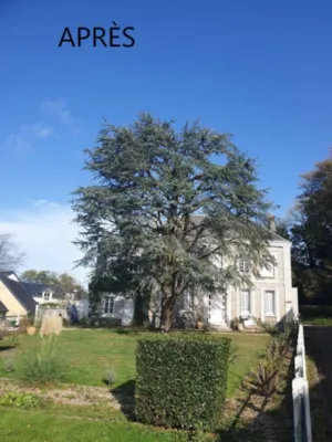 Élagage en taille douce aux alentours de Gonneville la Mallet