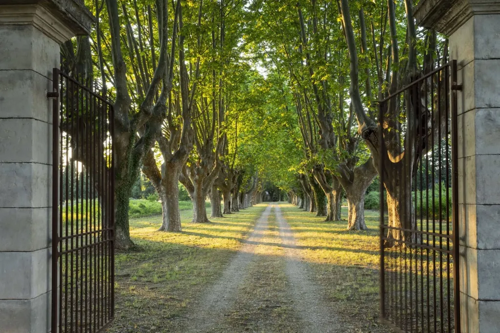 propriété agricole a vendre Alpilles