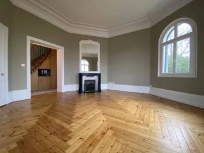 Grand salon parquet et cheminée