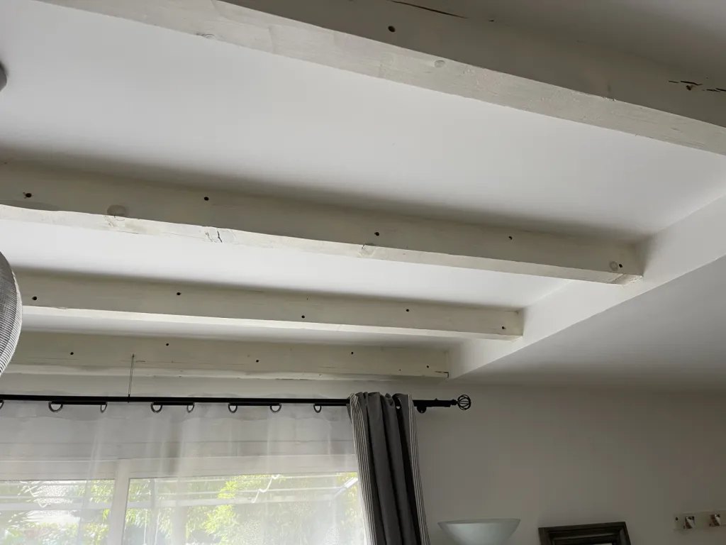   traitement de Charpente par injection à Six Fours, les plages près de Toulon, traitement préventif et curatif Charpente protégée