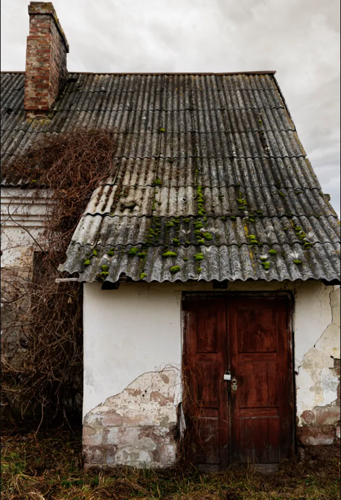 Traitement de charpente pour maisons anciennes et bâtisses de caractère à Toulouse 