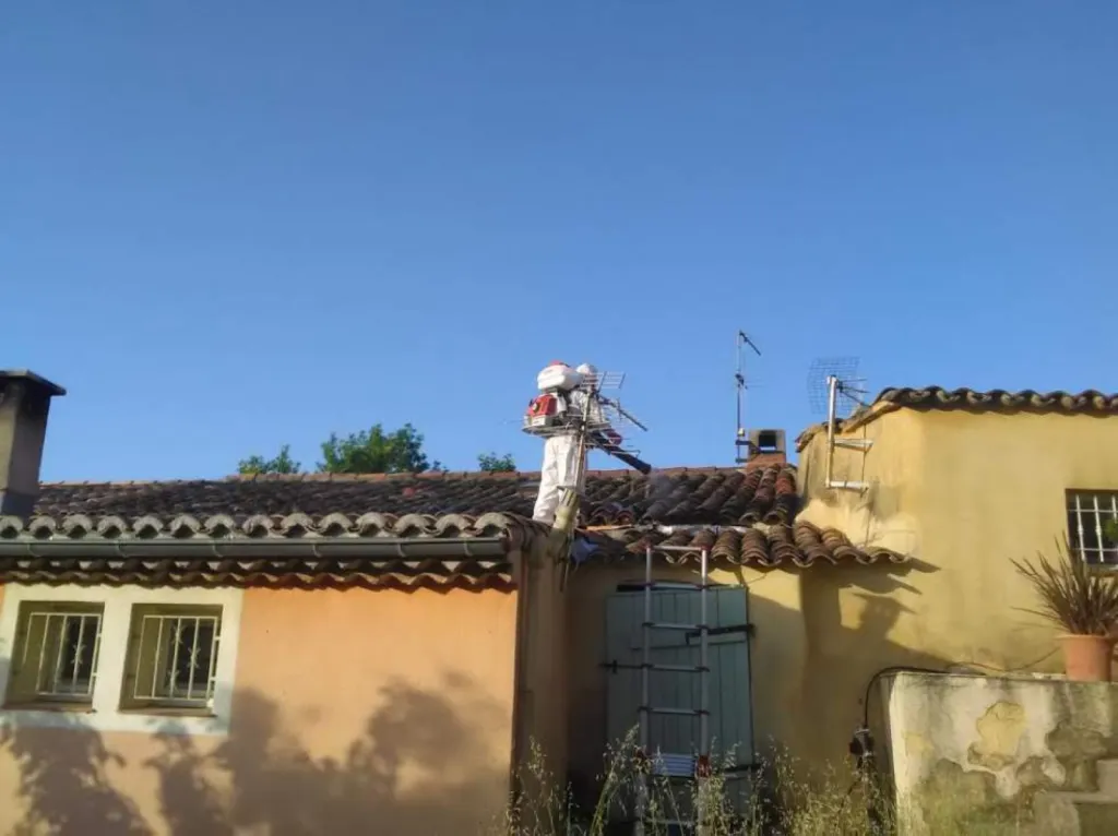 détruire guepes st cannat 13760