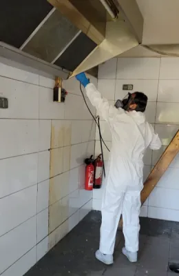 Traitement chimique des blattes germaniques et désinfection complète obligatoire d'un local commercial à Châteaurenard proche de Avignon