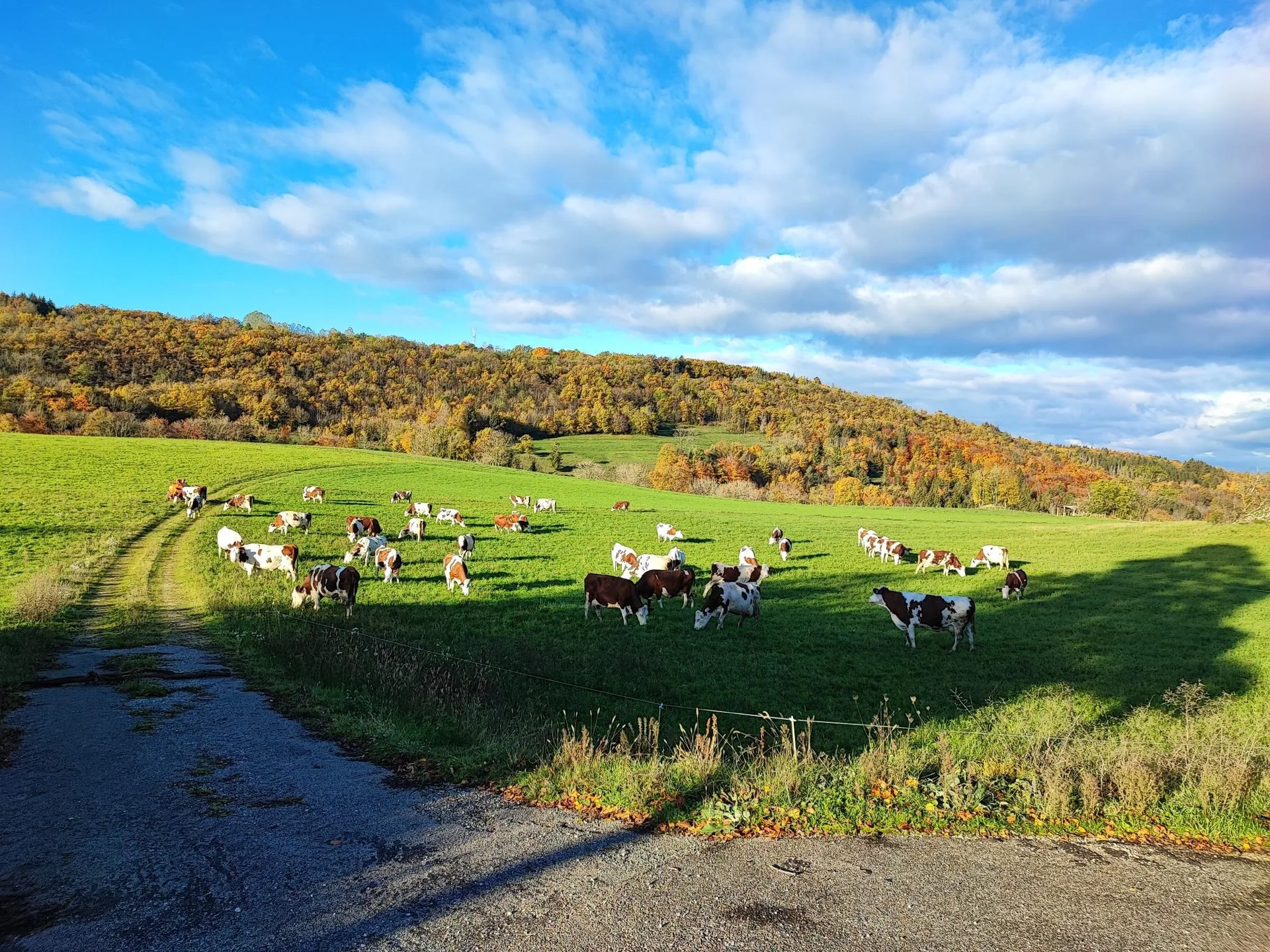 Une histoire et des engagements forts pour du bio authentique et équitable