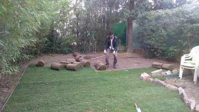 Pose et entretien de pelouse à Marseille et dans les Bouches du Rhône