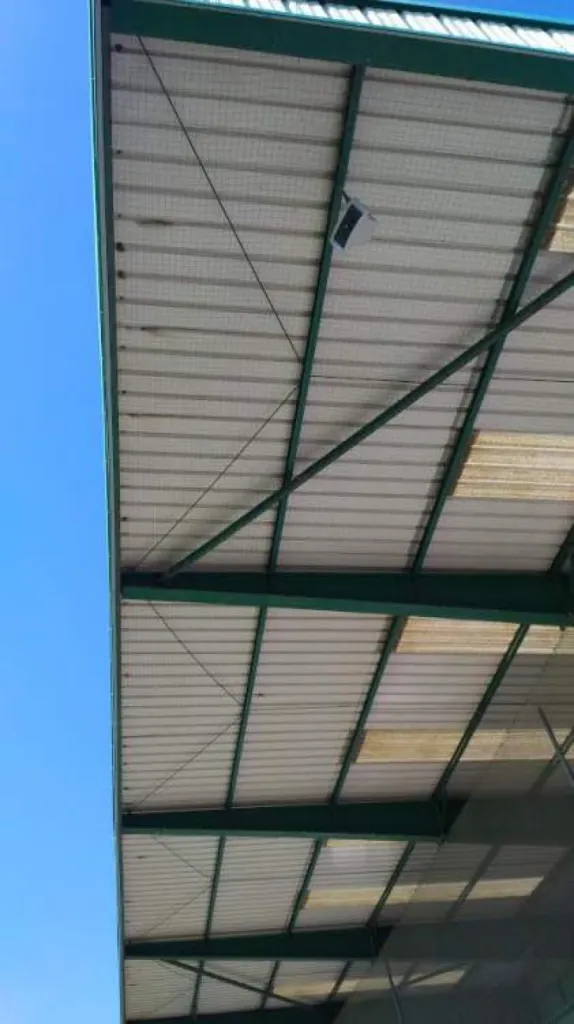 pigeons aubagne 13400