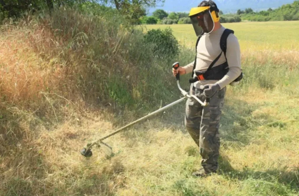 Débroussaillage manuel dans le Vaucluse pour terrain accidenté