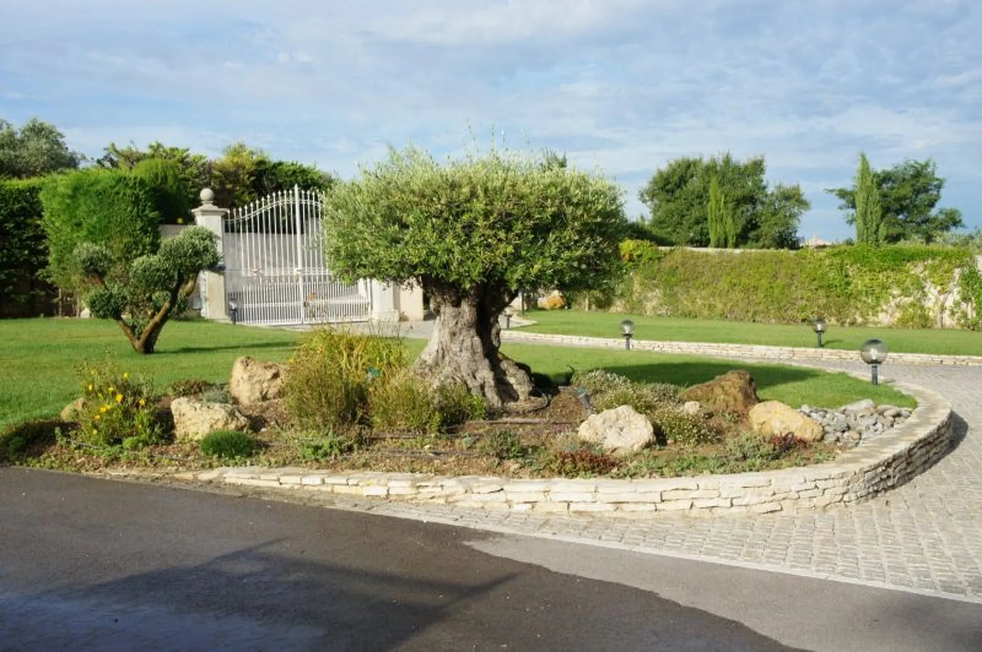 olivier sur marignane