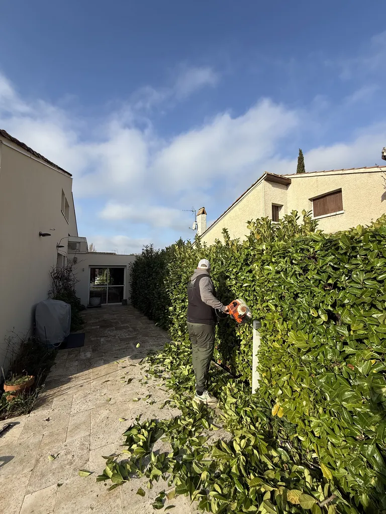 Nos prestations sur le secteur deToulouse Centre-Ville proche de Blagnac 31000