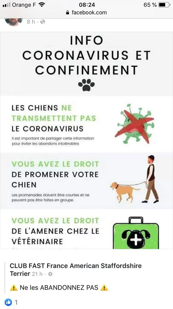 informations coronavirus sur toulon