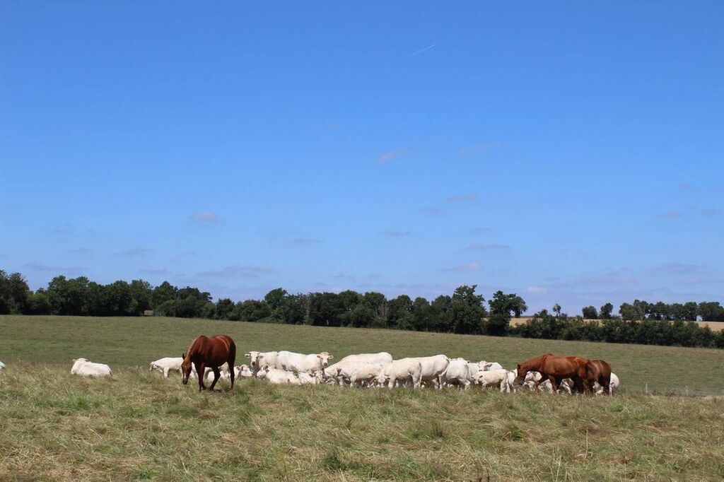A acheter ferme avec maison d'habitation et ses bâtiments proche Cormeilles 27260