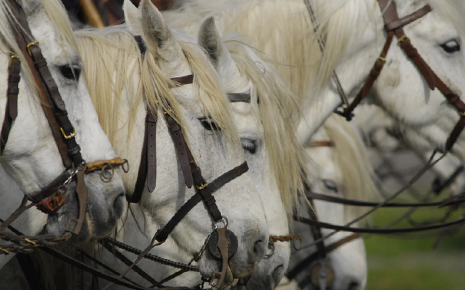 Taxi en Provence pour Arles