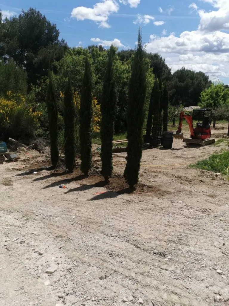 Plantation de cypres pour maison Eguilles