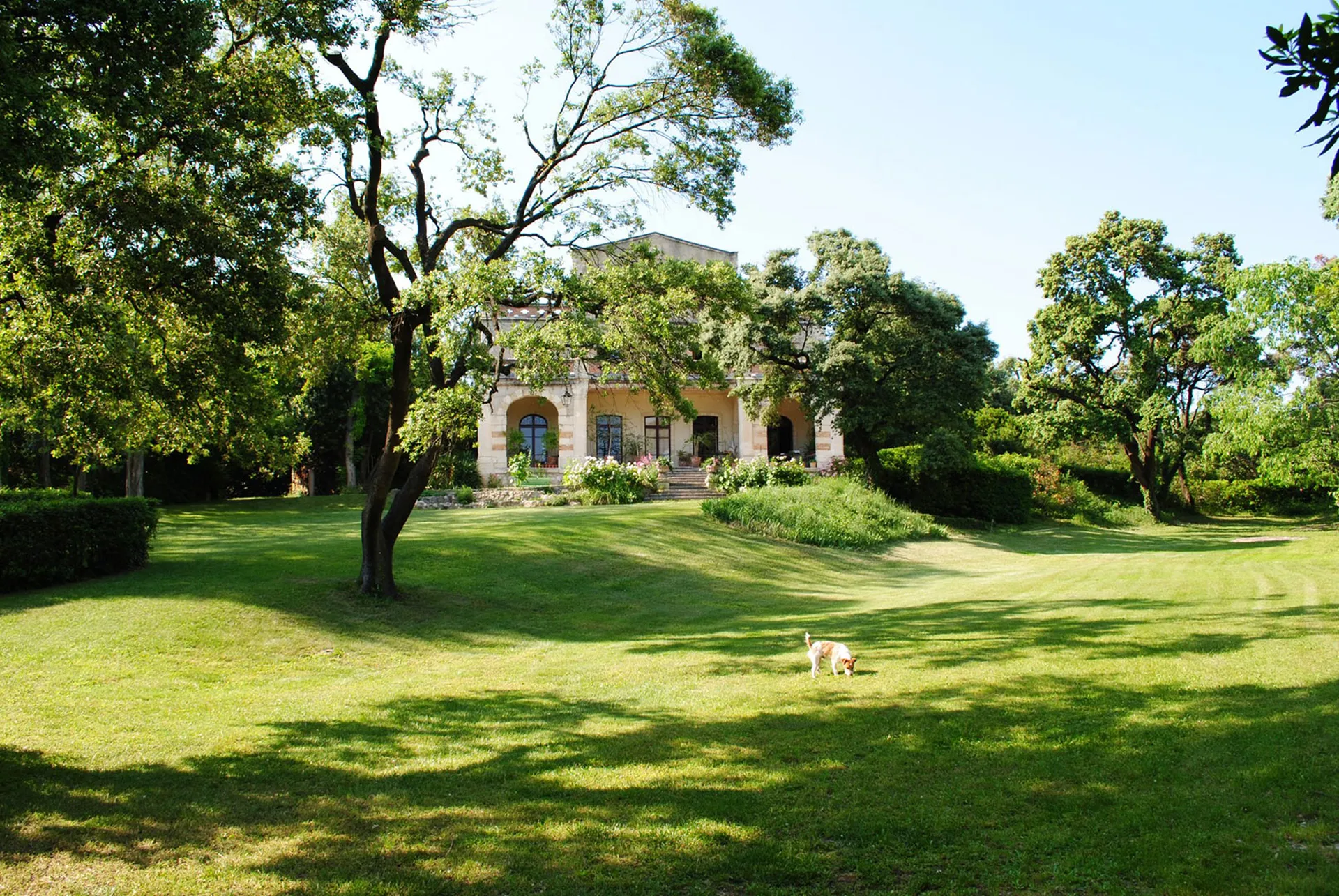 Propriété de charme avec 3 habitations en Provence