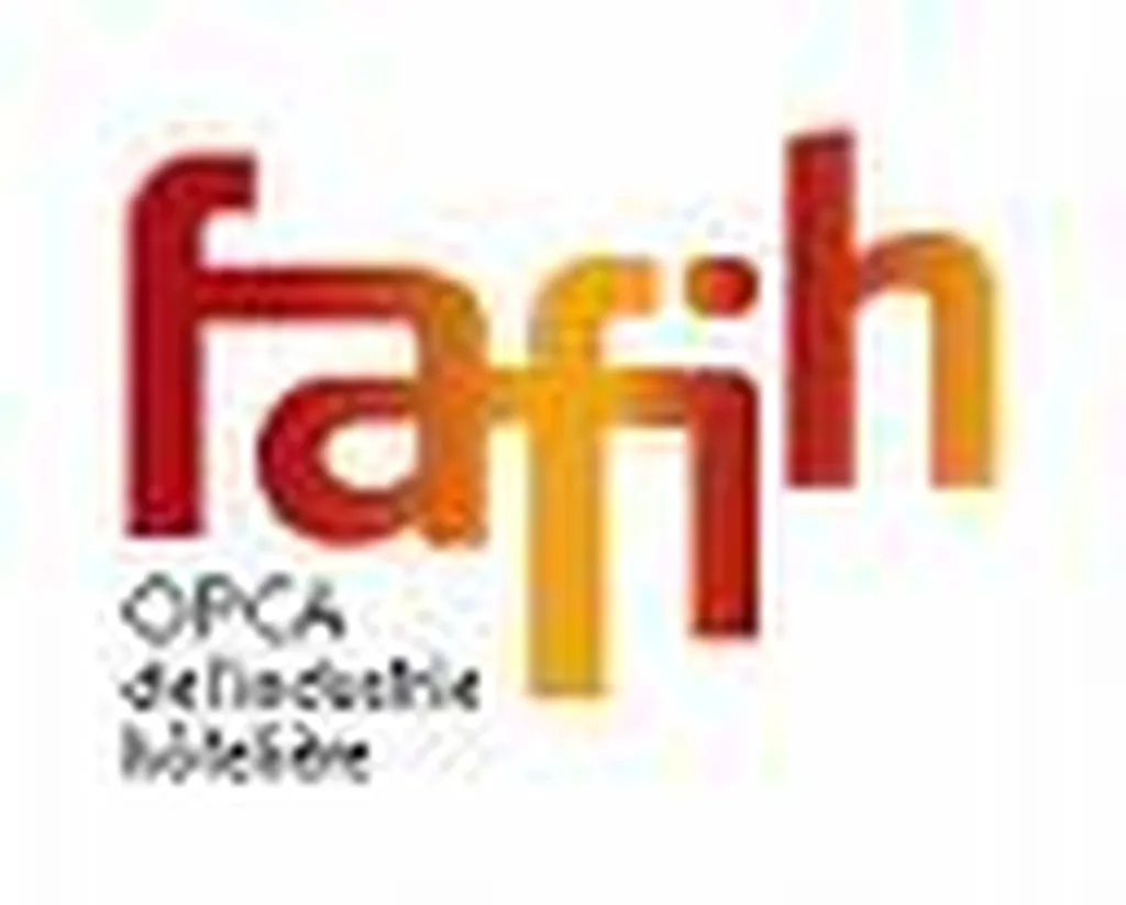 OPCA organisme paritaire collecteur agréé   FAFIH 