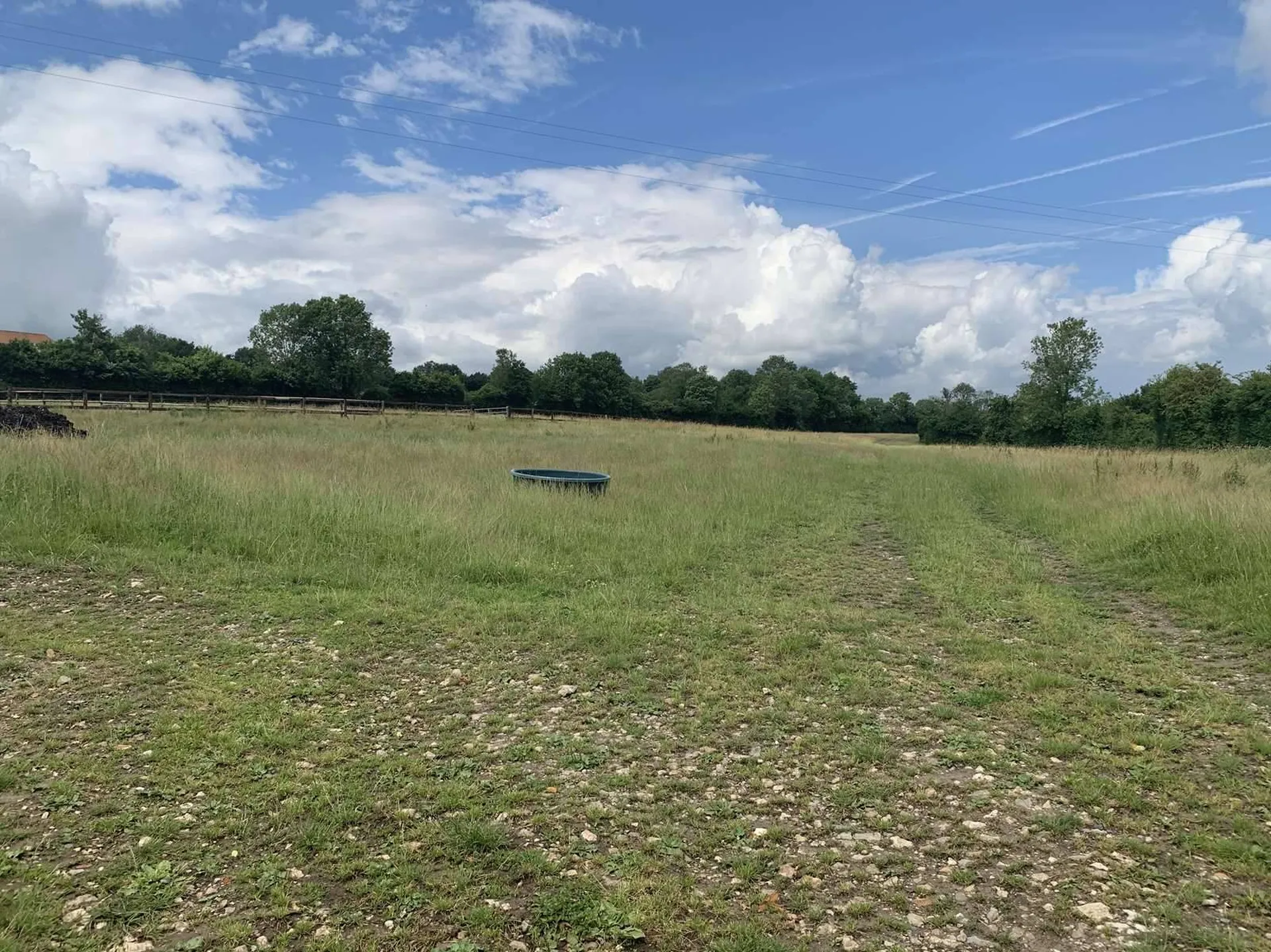 Dans le NORD DU PAYS D'AUGE, à 5 minutes de PONT L'EVEQUE 14130, l'Agence Immobilière TERRES ET DEMEURES DE NORMANDIE à LISIEUX (14100) 41 avenue Victor HUGO, vous propose de venir visiter dans un bel environnement, cette Demeure en colombages à usag