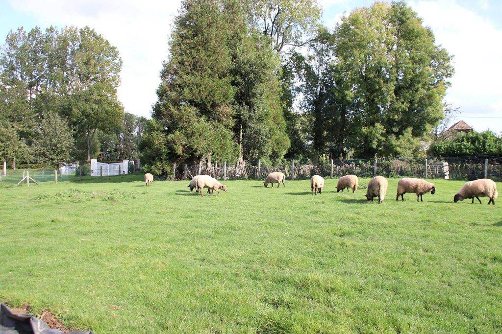 Vente demeure à colombages avec sa dépendance région Tancarville 76