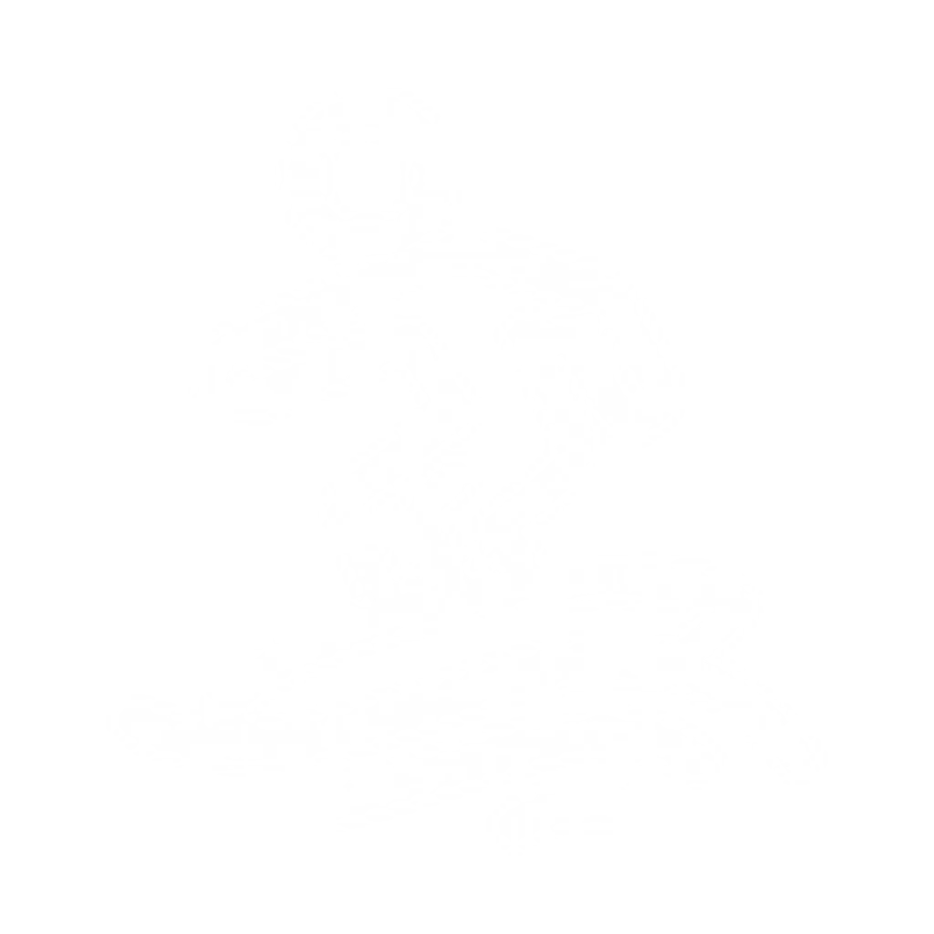 Flyboard